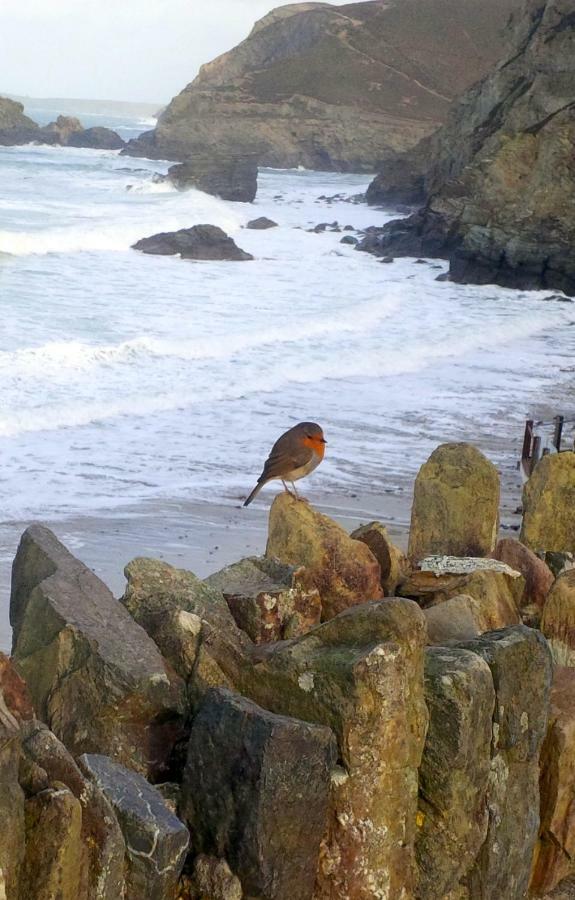 Wrens Nook Vila St Agnes  Exterior foto
